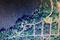 Undeveloped Land in Cass County, Texas