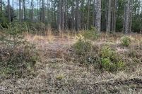 Undeveloped Land in Brunswick County, North Carolina