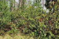 Land for sale in Pasco County, Florida