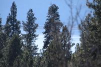 Homesite for sale in Klamath County, Oregon
