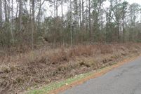 Undeveloped Land in Upshur County, Texas