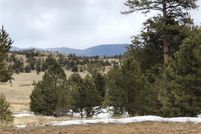 Land for sale in Park County, Colorado