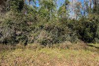 Undeveloped Land in Trinity County, Texas
