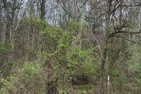 Undeveloped Land in Pike County, Ohio
