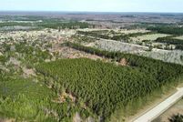 Undeveloped Land in Antrim County, Michigan