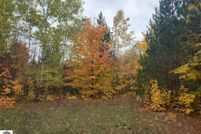 Undeveloped Land in Otsego County, Michigan