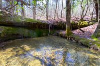 Land in Winston County, Alabama