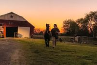 Farm and Ranch in Sumner County, Tennessee