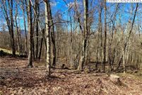 Undeveloped Land for sale in Avery County, North Carolina