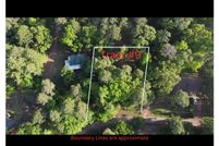 Undeveloped Land in Marion County, Texas