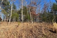 Undeveloped Land in Frederick County, Virginia