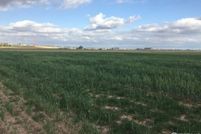 Land for sale in Weld County, Colorado