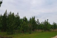 Land for sale in Houston County, Alabama