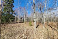 Land for sale in Otsego County, Michigan