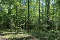 Undeveloped Land for sale in Crenshaw County, Alabama