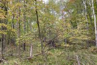 Undeveloped Land in Osceola County, Michigan