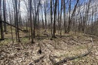 Undeveloped Land for sale in Antrim County, Michigan