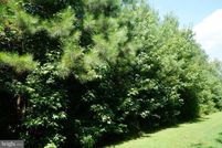 Land for sale in Caroline County, Virginia