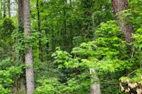 Land for sale in Livingston Parish, Louisiana