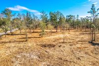 Land for sale in Calhoun County, Florida