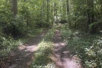 Timberland Property for sale in Carter County, Tennessee