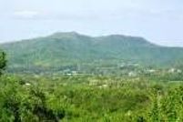 Undeveloped Land for sale in Towns County, Georgia