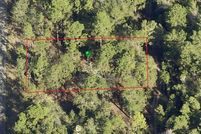 Undeveloped Land in Citrus County, Florida