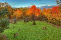 Undeveloped Land in Osceola County, Michigan