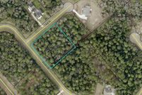 Undeveloped Land in Camden County, Georgia