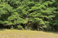 Homesite for sale in Alachua County, Florida