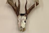 Recreational Property in Saline County, Missouri