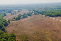 Undeveloped Land in Montgomery County, Texas