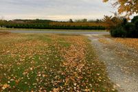 Land for sale in Northampton County, Virginia