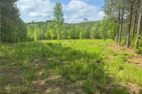 Undeveloped Land for sale in Dawson County, Georgia