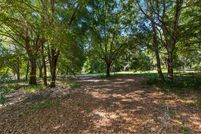 Undeveloped Land in Lake County, Florida