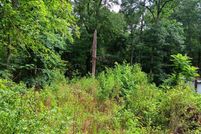 Undeveloped Land in Upshur County, Texas