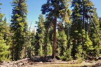 Land for sale in Kane County, Utah