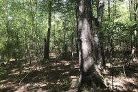 Farm and Ranch for sale in Forrest County, Mississippi