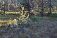 Land for sale in Crook County, Oregon