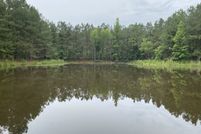 Undeveloped Land for sale in Calhoun County, Arkansas