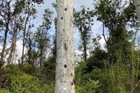 Undeveloped Land in Hawaii County, Hawaii