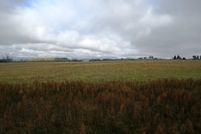 Land for sale in Spokane County, Washington