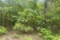 Land for sale in Fulton County, Arkansas