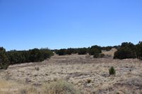 Land for sale in Navajo County, Arizona