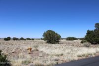 Land for sale in Navajo County, Arizona