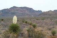 Undeveloped Land for sale in Hudspeth County, Texas