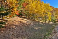 Undeveloped Land in Grand Traverse County, Michigan