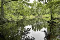 Land for sale in Lonoke County, Arkansas