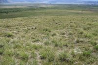Homesite for sale in Park County, Colorado