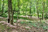 Undeveloped Land for sale in Union County, Georgia